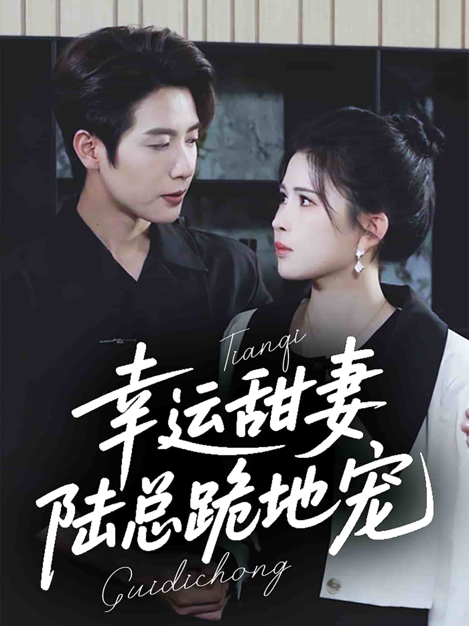 幸运甜妻，陆总跪地宠