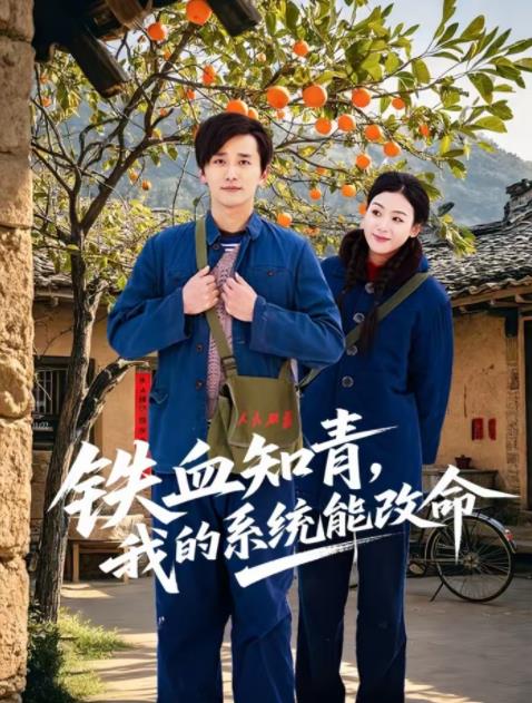 铁血知青，我的系统能改命