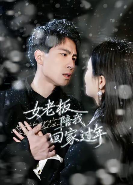 女老板陪我回家过年