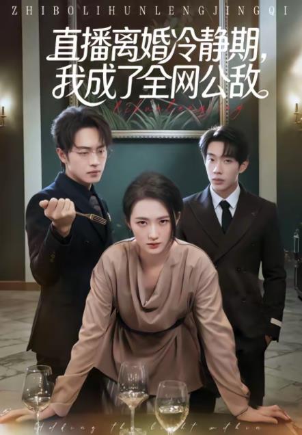 直播离婚冷静期，我成了全网公敌